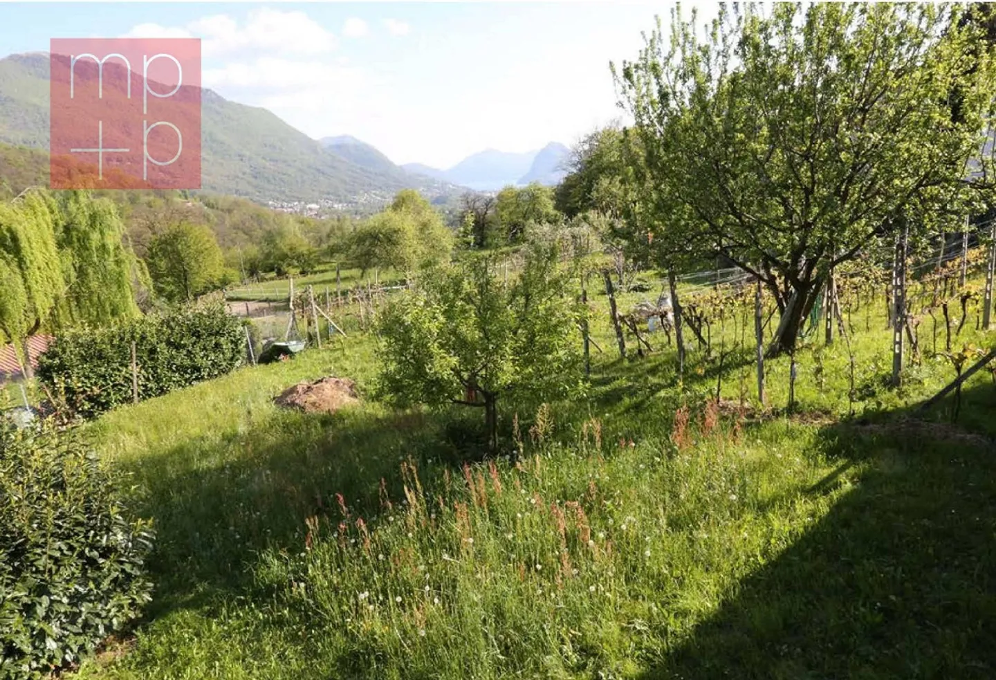 Terreno per costruire - Lopagno - Photo 3 sur 8