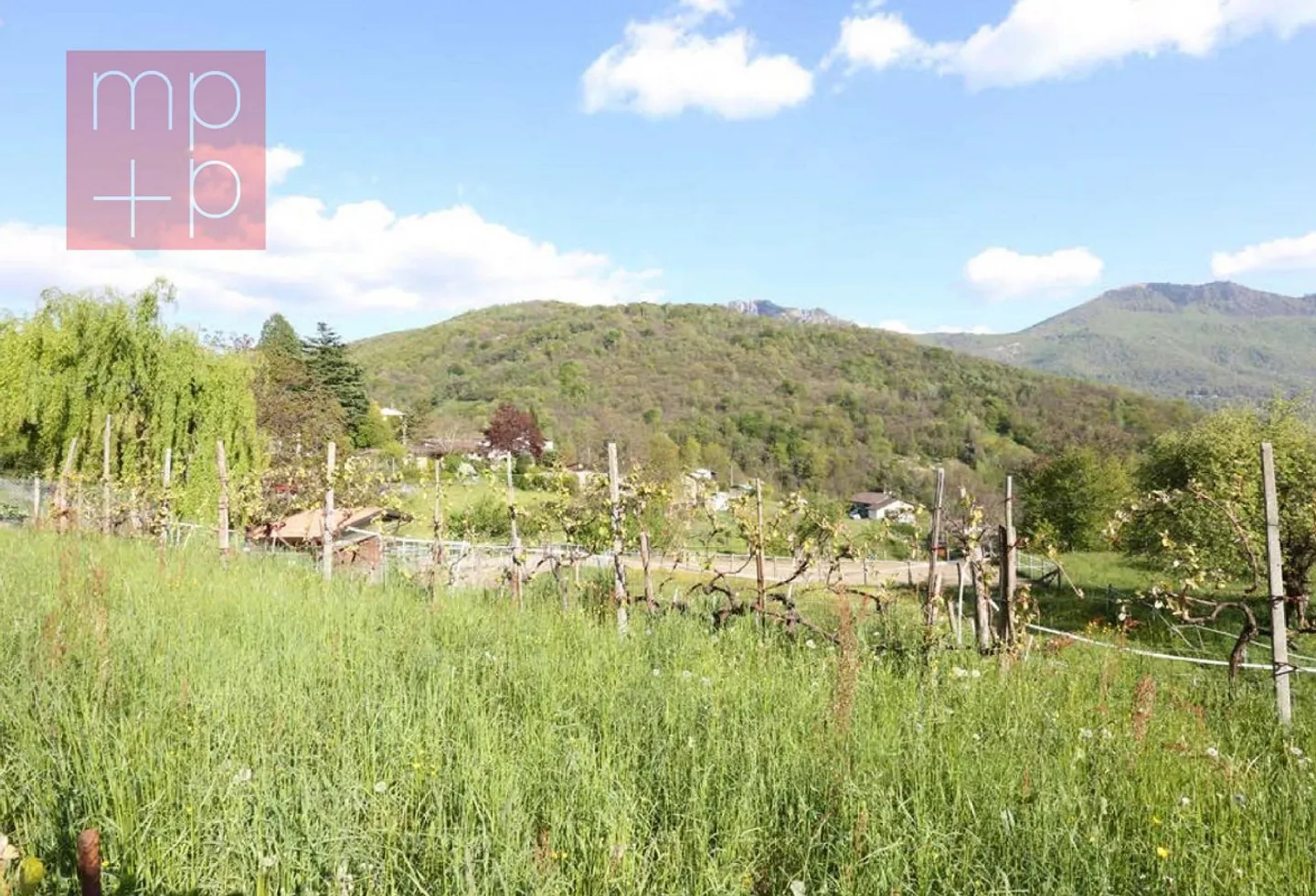 Terreno per costruire - Lopagno - Photo 2 sur 8