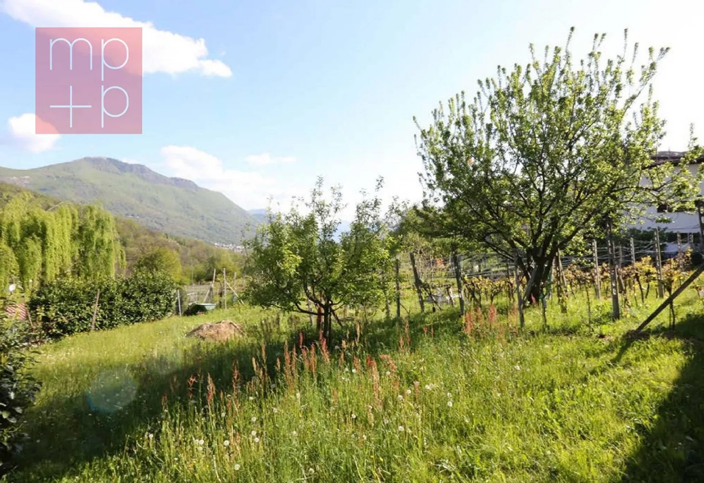 Terreno per costruire - Lopagno - Photo 5 sur 8