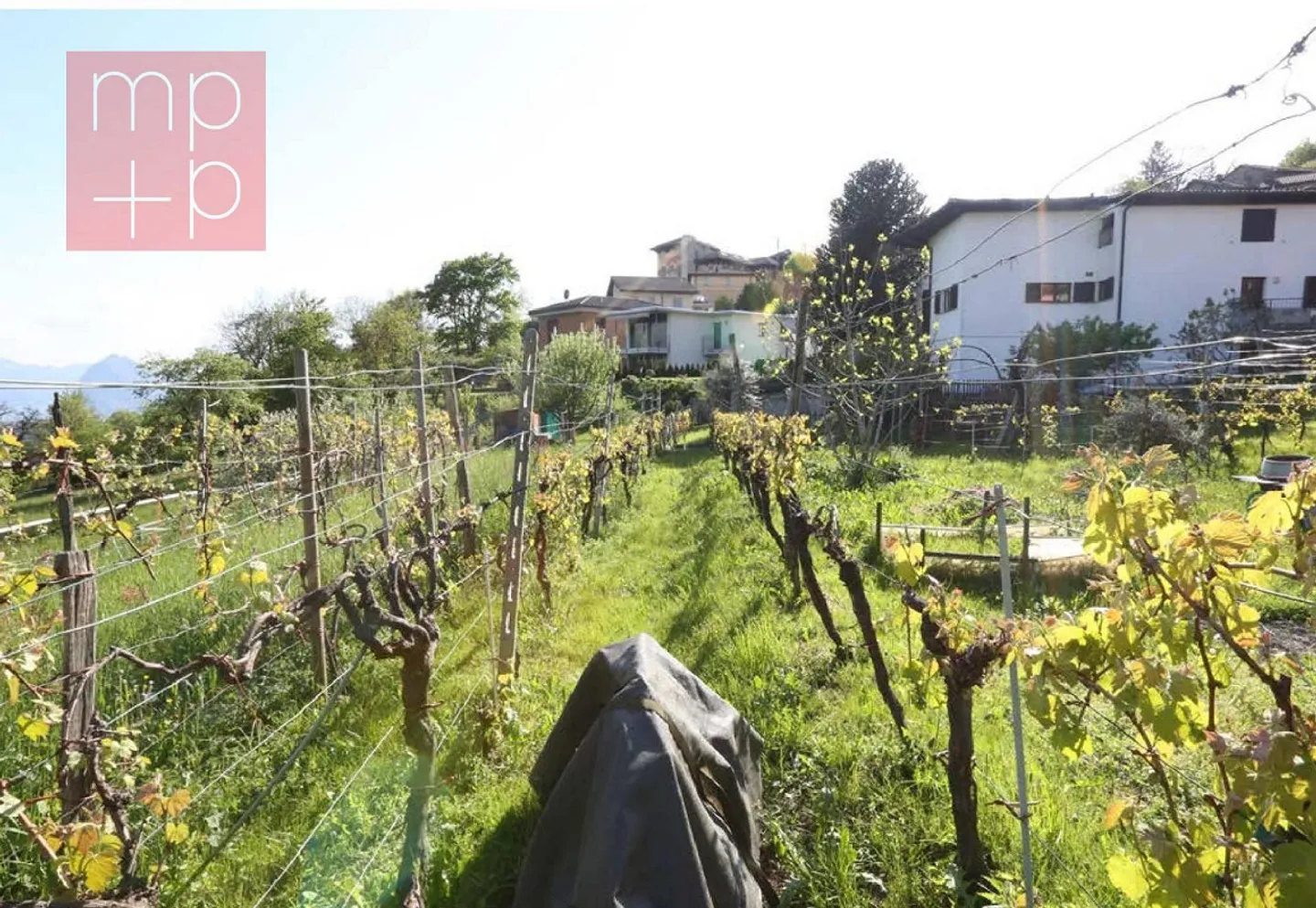 Terreno per costruire - Lopagno - Photo 7 sur 8