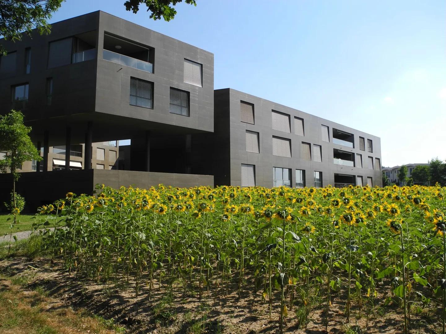 Plaza Verde - Maggiore spazio abitativo - Appartamento 2.5 locali - Foto 3 di 12
