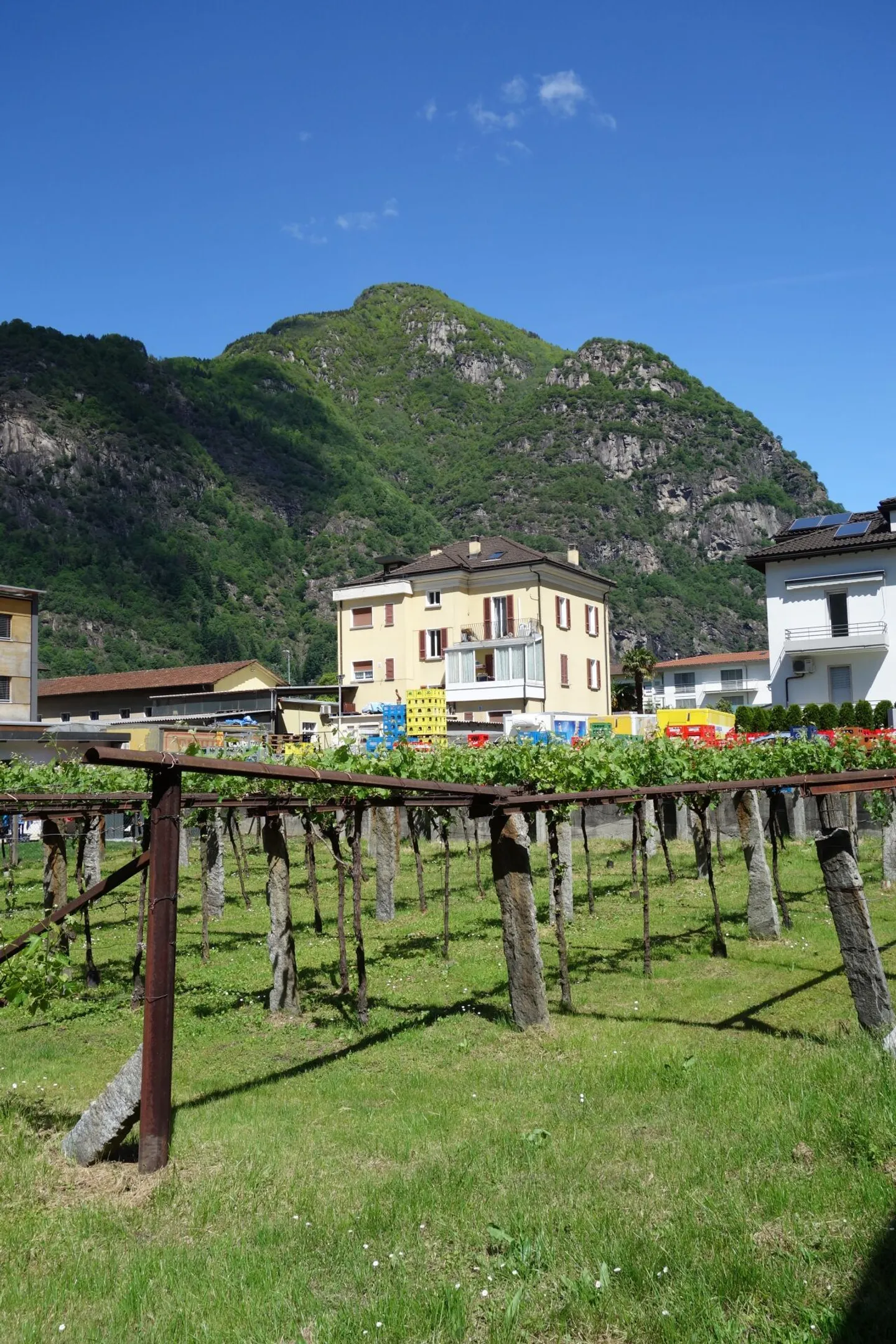 1219 m2 land with approved license - Photo 2 of 5