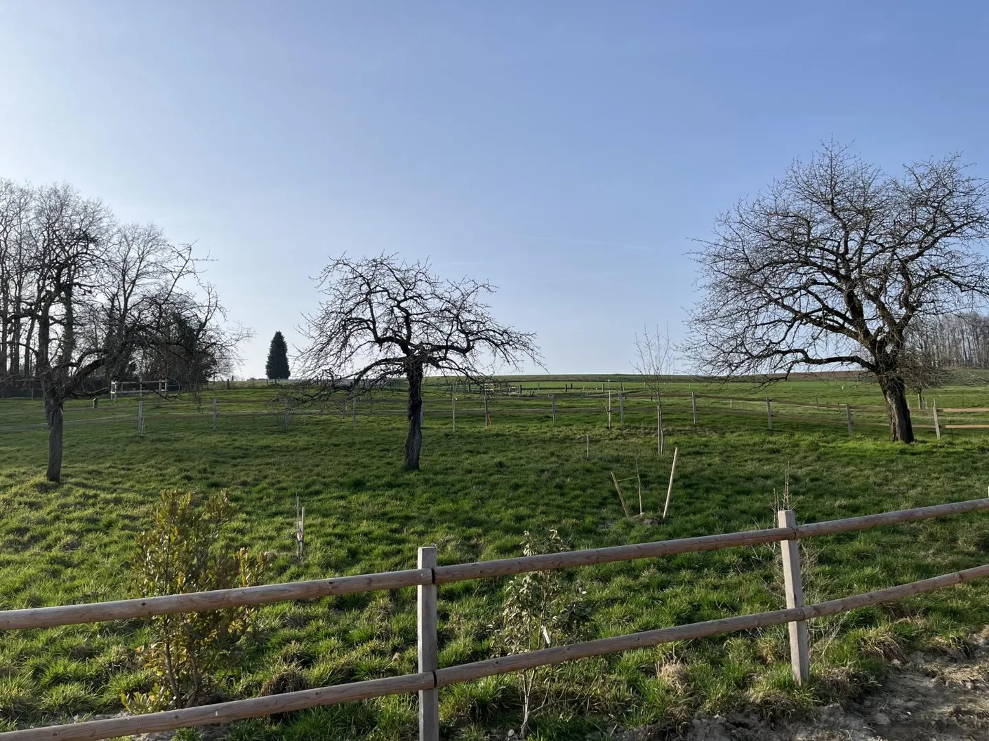 Spacieuse maison individuelle - Photo 1 sur 11