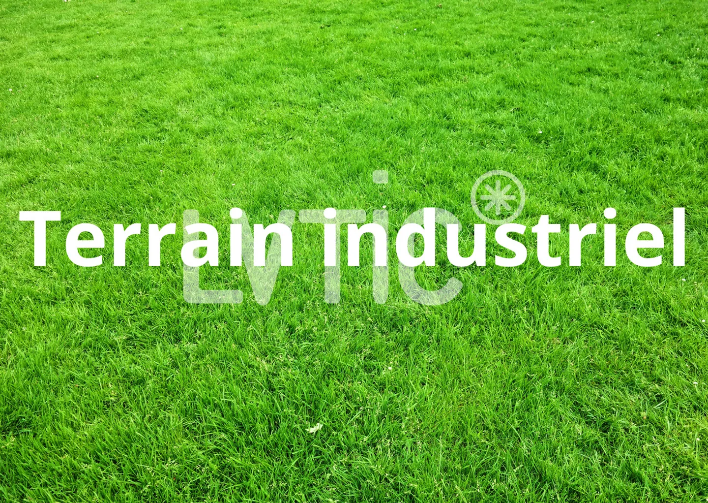 Terreno industriale di 12.000 m2 divisibili in affitto in DDP a Martigny - Foto 1 di 4