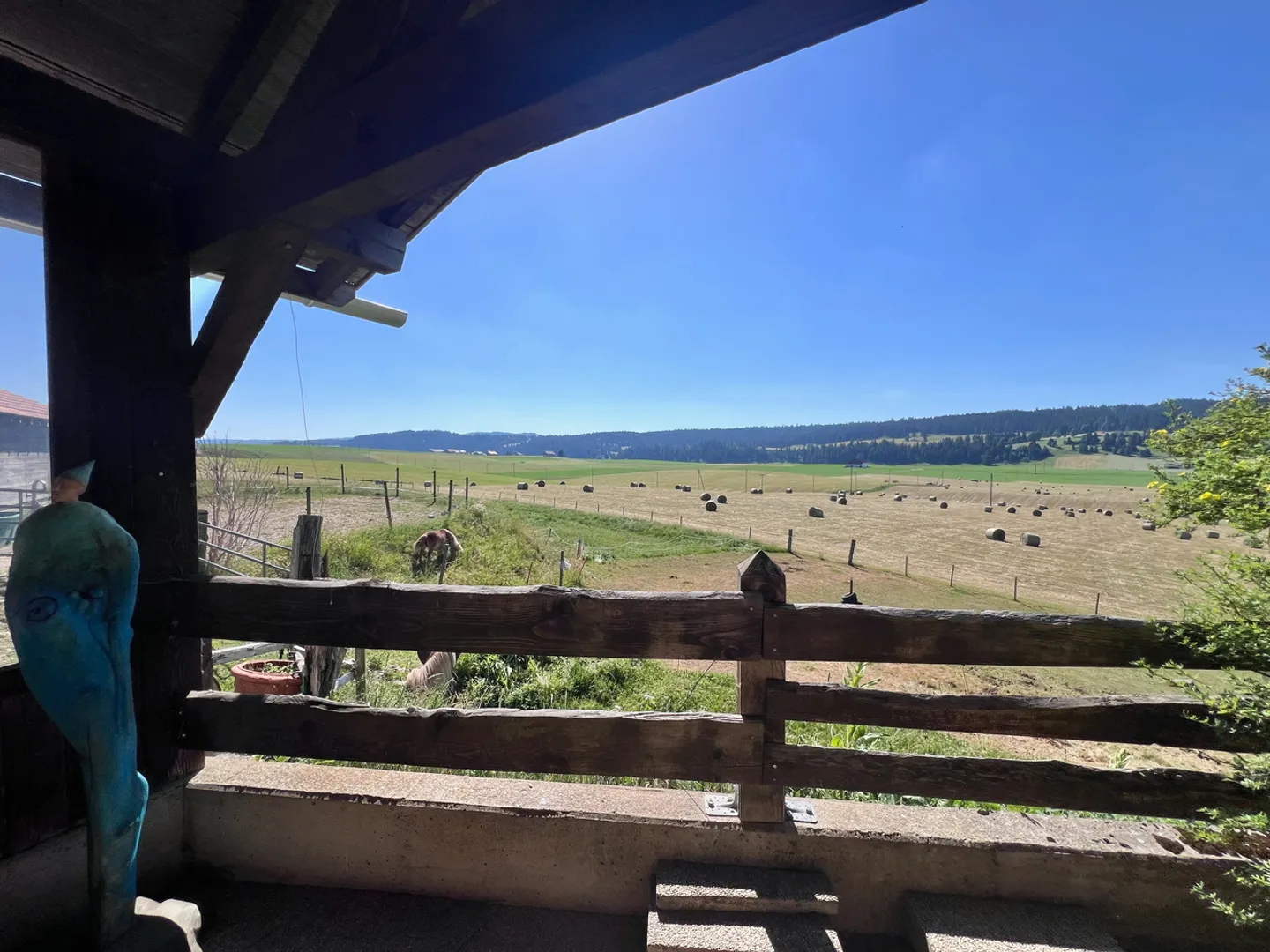 Old farmhouse transformed into an equestrian farm - Photo 3 of 13