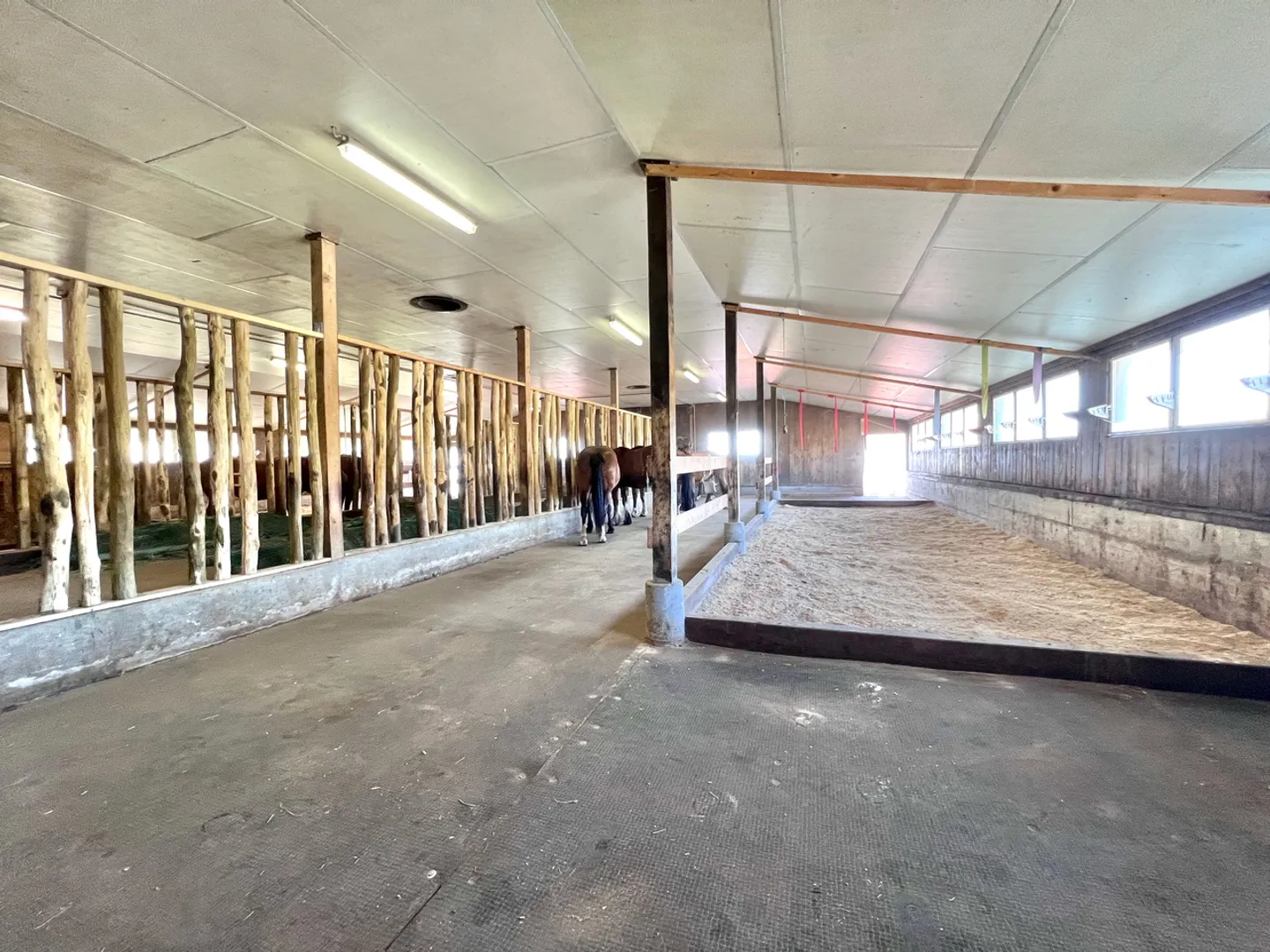 Old farmhouse transformed into an equestrian farm - Photo 5 of 13