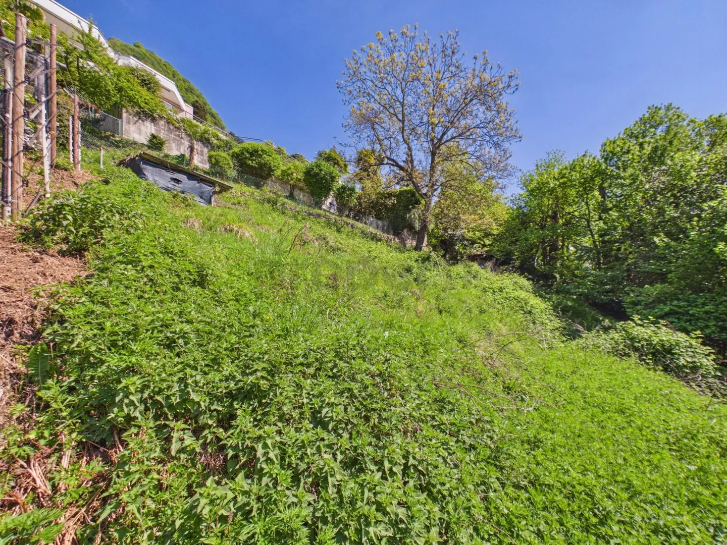 Geräumiges Baugrundstück mit Seeblick in ruhiger Lage, Viganello - Foto 8 von 11