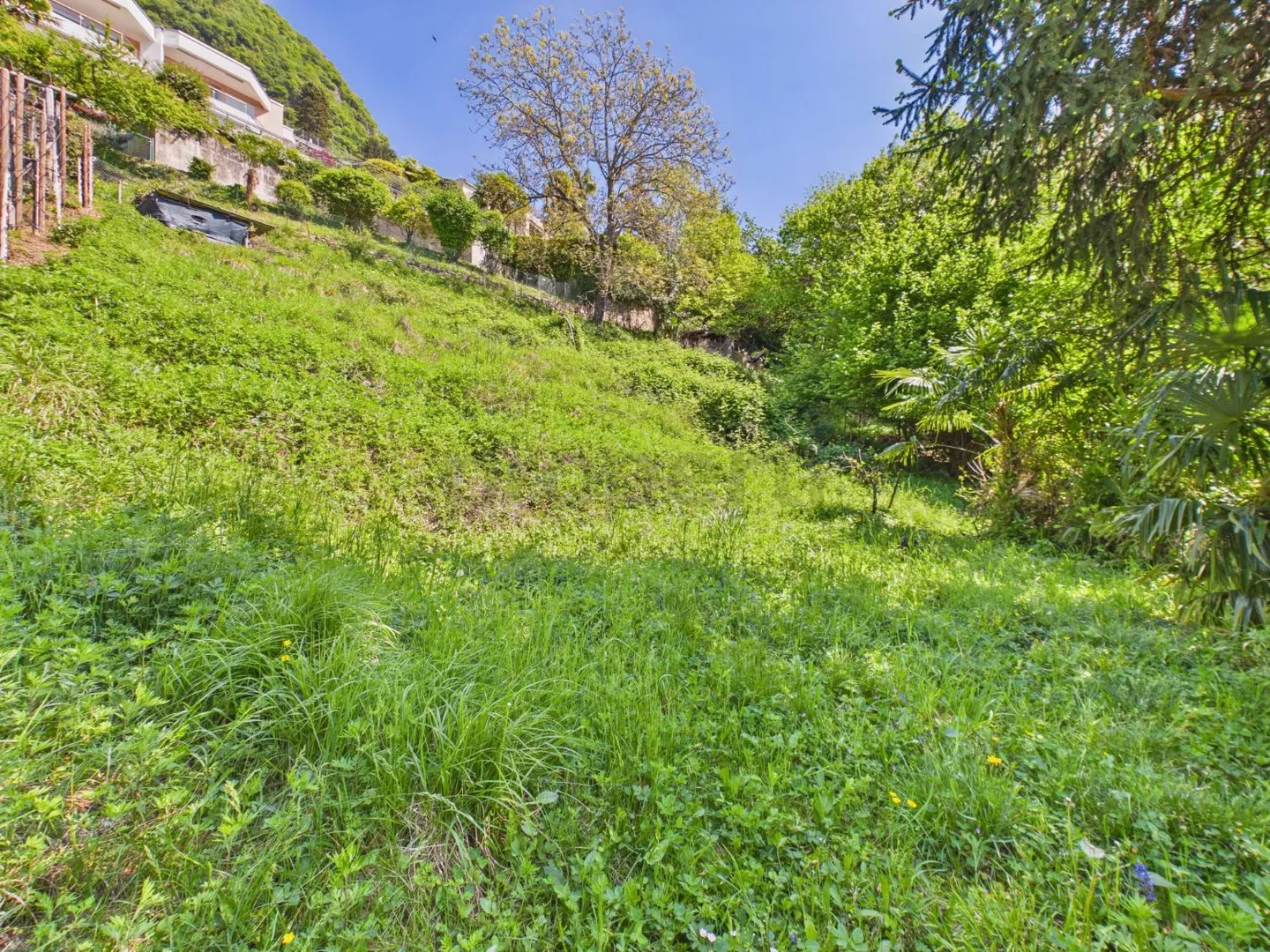Geräumiges Baugrundstück mit Seeblick in ruhiger Lage, Viganello - Foto 9 von 11
