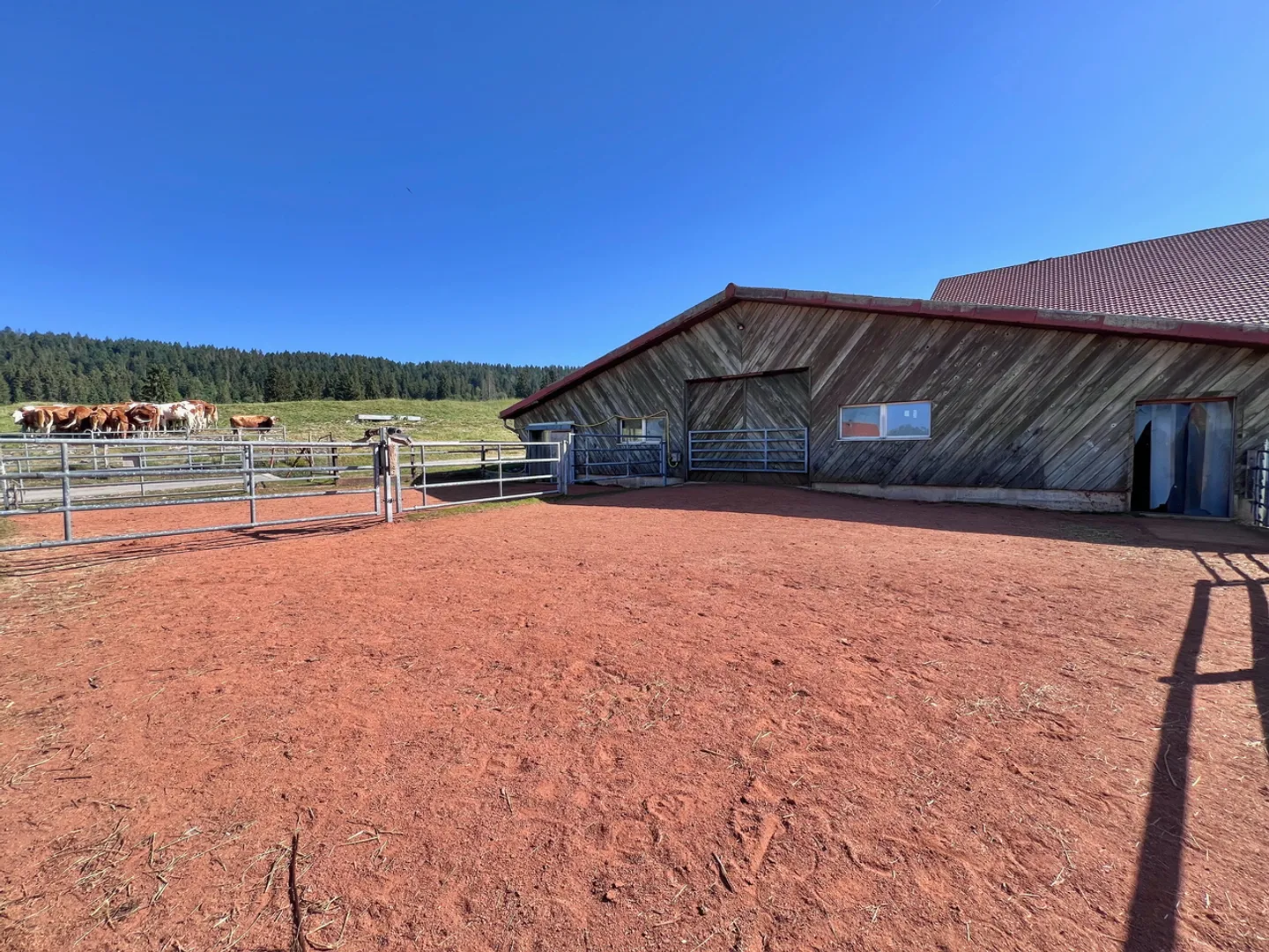 Old farmhouse transformed into an equestrian farm - Photo 8 of 13