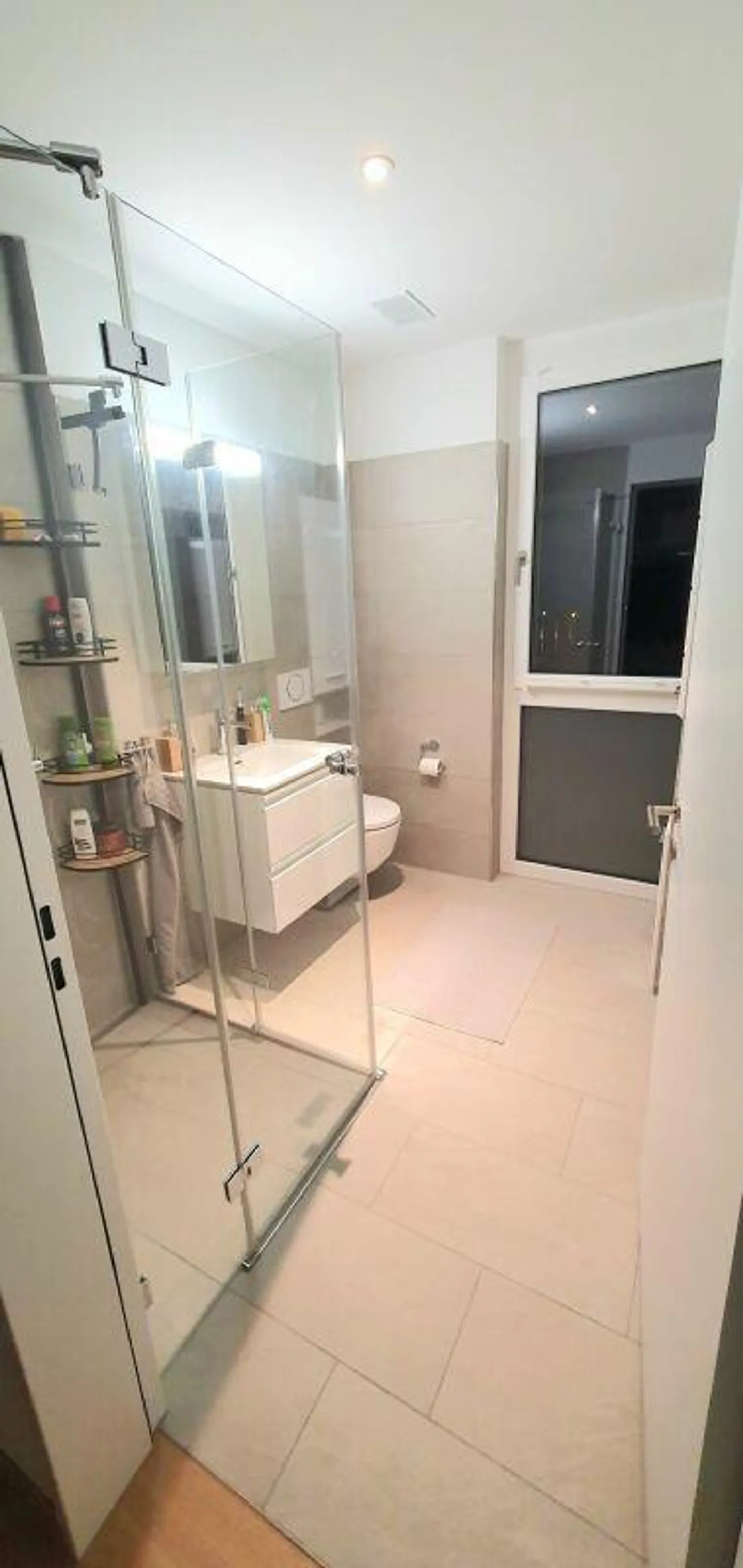 Appartement sous les combles lumineux au bord du lac - Photo 4 sur 7