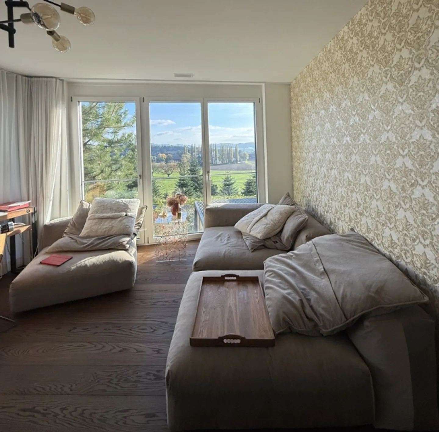 5½ ROOM APARTMENT IN UITIKON WALDEGG (ZH), FURNISHED, TEMPORARY - Photo 1 of 10