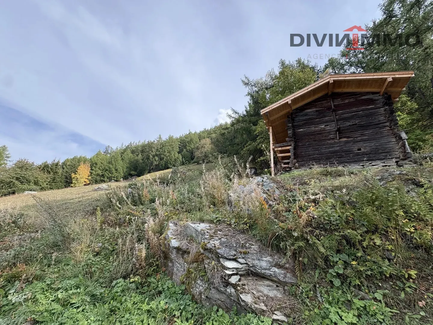 Terrain de Chalet avec Vue - Photo 2 sur 4