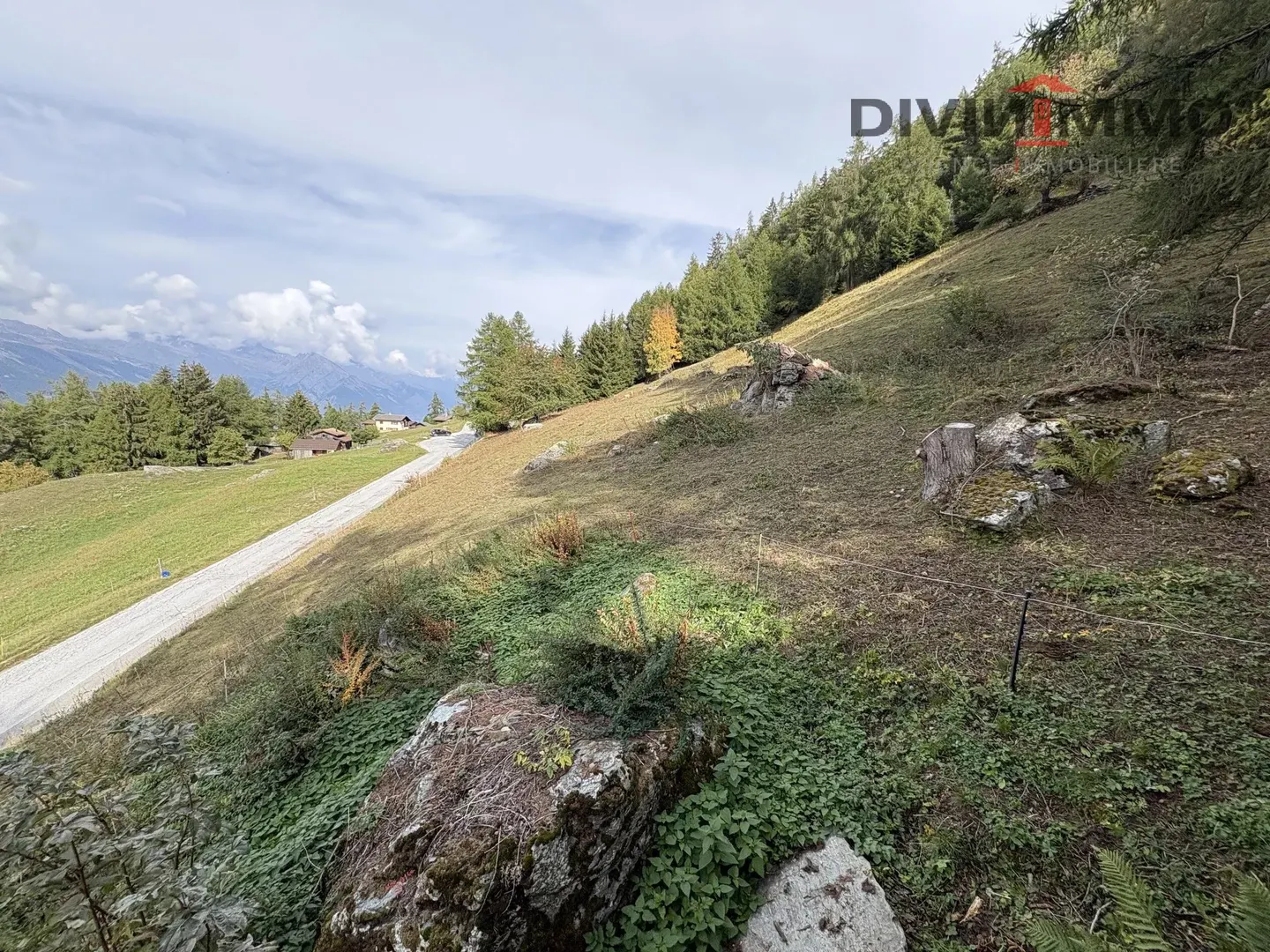Terrain de Chalet avec Vue - Photo 3 sur 4