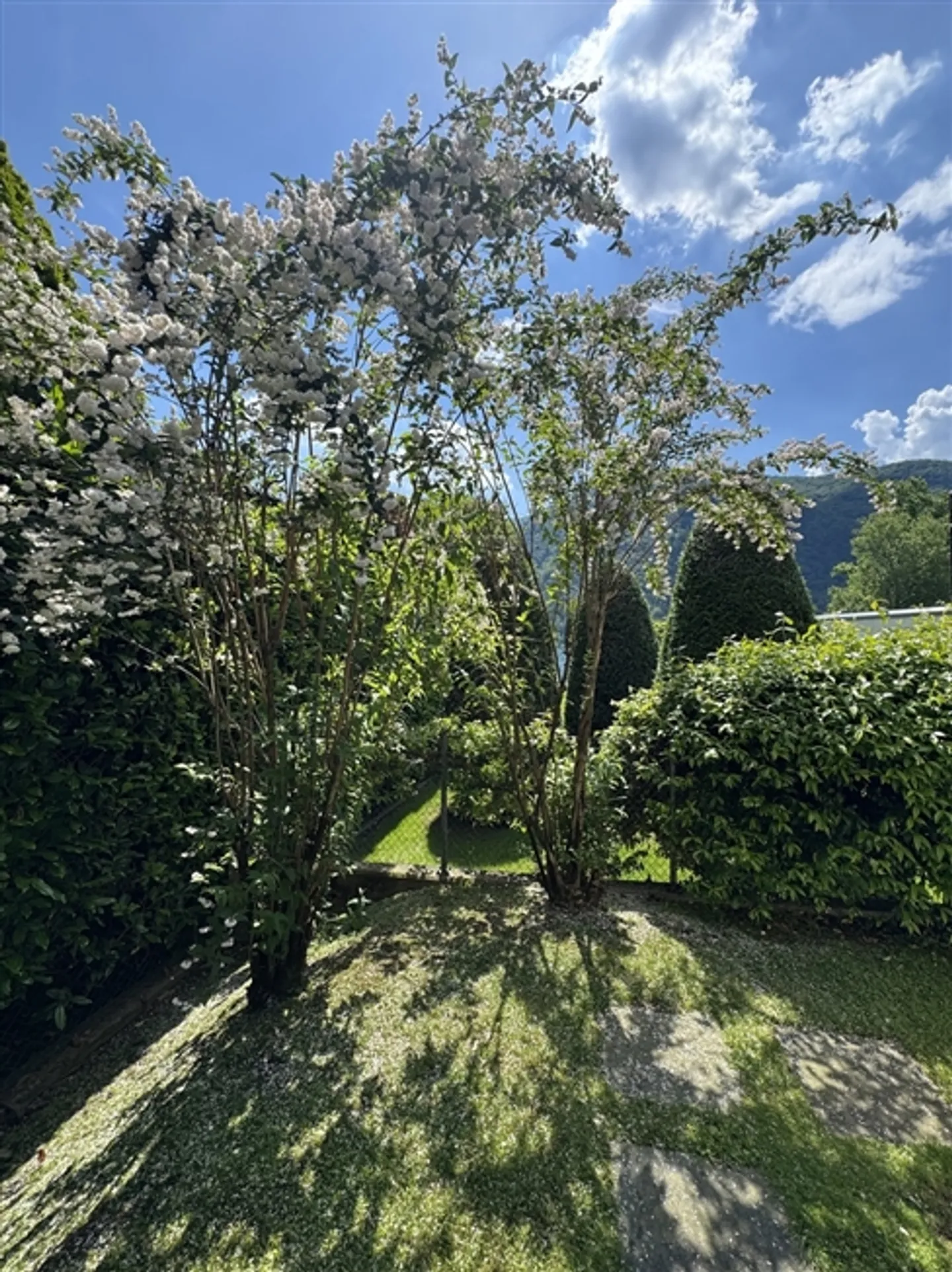 Elegant Penthouse with Guaranteed Privacy - Photo 3 of 20