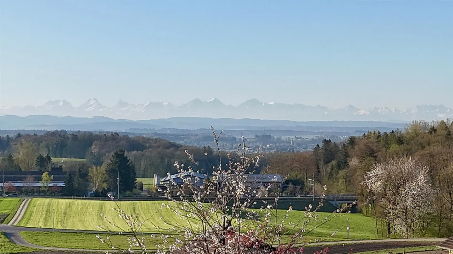Ampia casa unifamiliare con vista sulle Alpi e potenziale di sviluppo - Foto 1 di 9