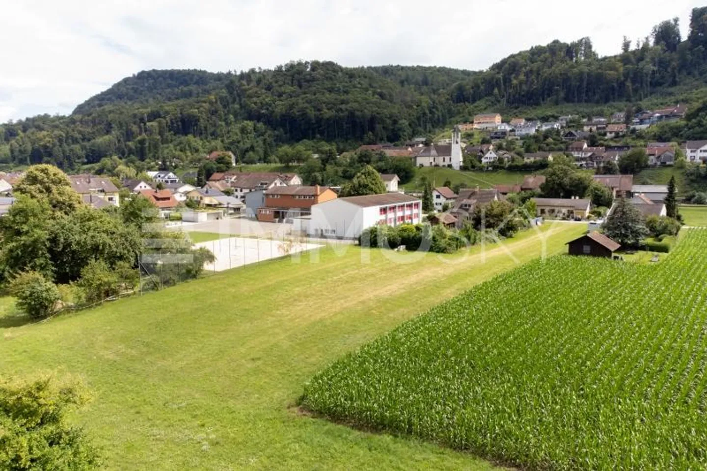 Large Land for Big Dreams - Photo 2 of 5