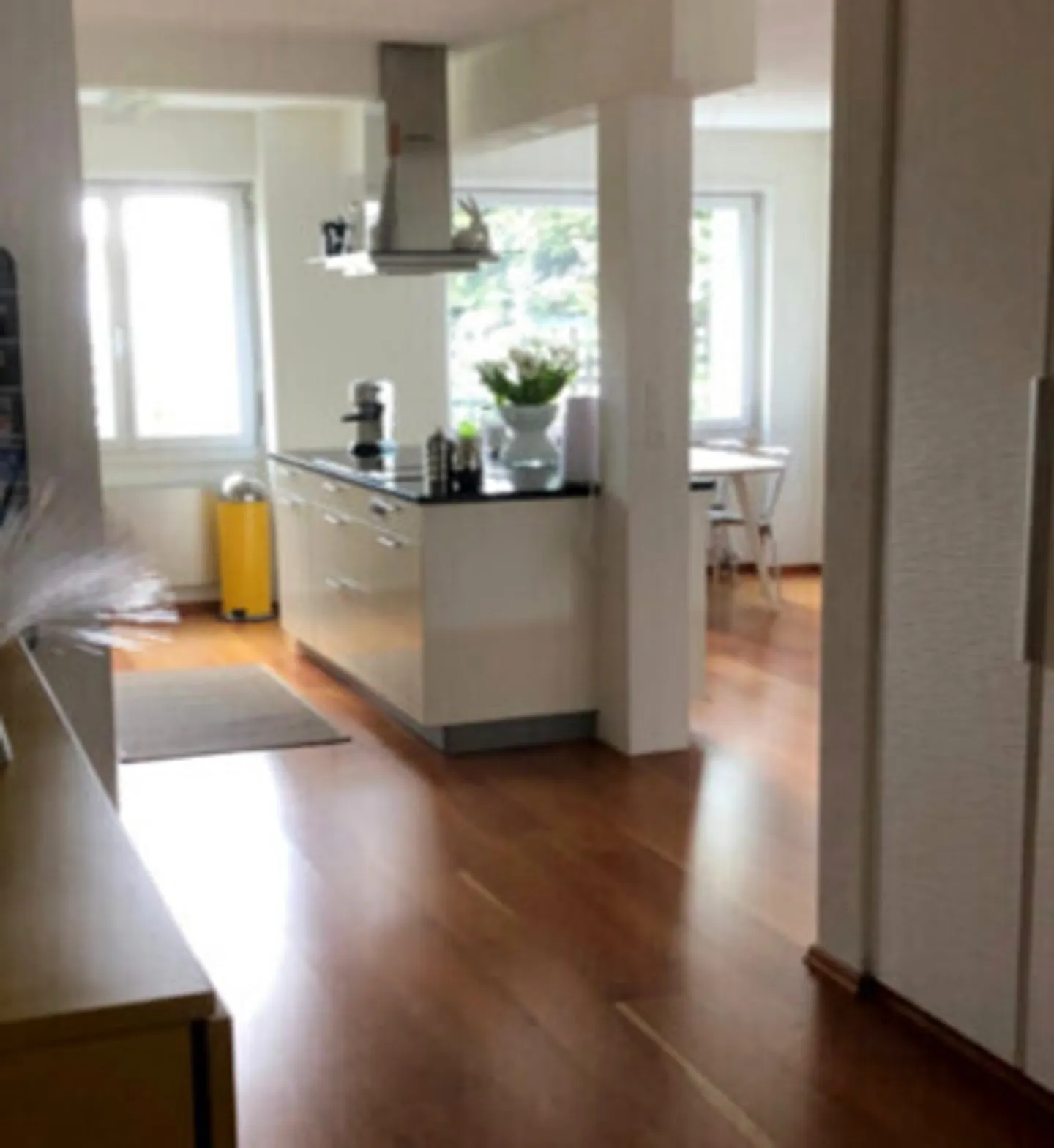 5½ ROOM APARTMENT IN OSTERMUNDIGEN (BE), FURNISHED, TEMPORARY - Photo 3 of 14