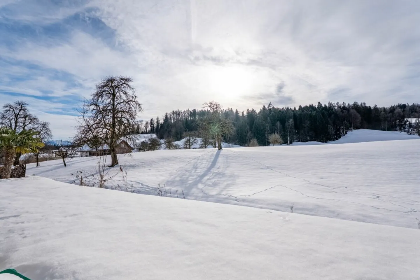 Dreamlike Garden Apartment with Unobstructed Views - Photo 9 of 12