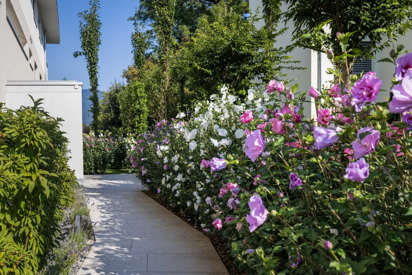 Ruhig gelegene, hochwertige, helle und moderne 4.5 Zimmer Terrassenwohnung im Obergeschoss mit 30 m² Wintergarten mit Weitsicht gegen Westen (Abendsonne), 2 Parkplätze inkl. und Gemeinschaftsgartengarten mit rundum Sichtschutz und Solitärbäumen - Foto 8 von 108