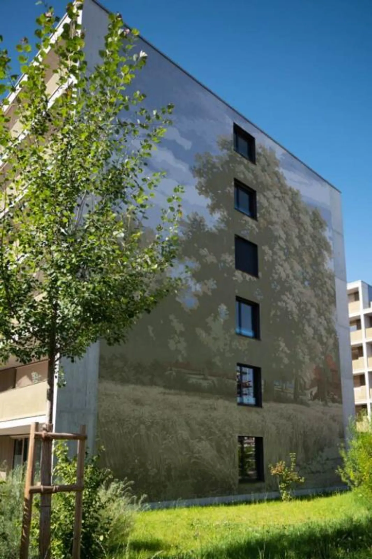 Benvenuto a casa! - Foto 6 di 6