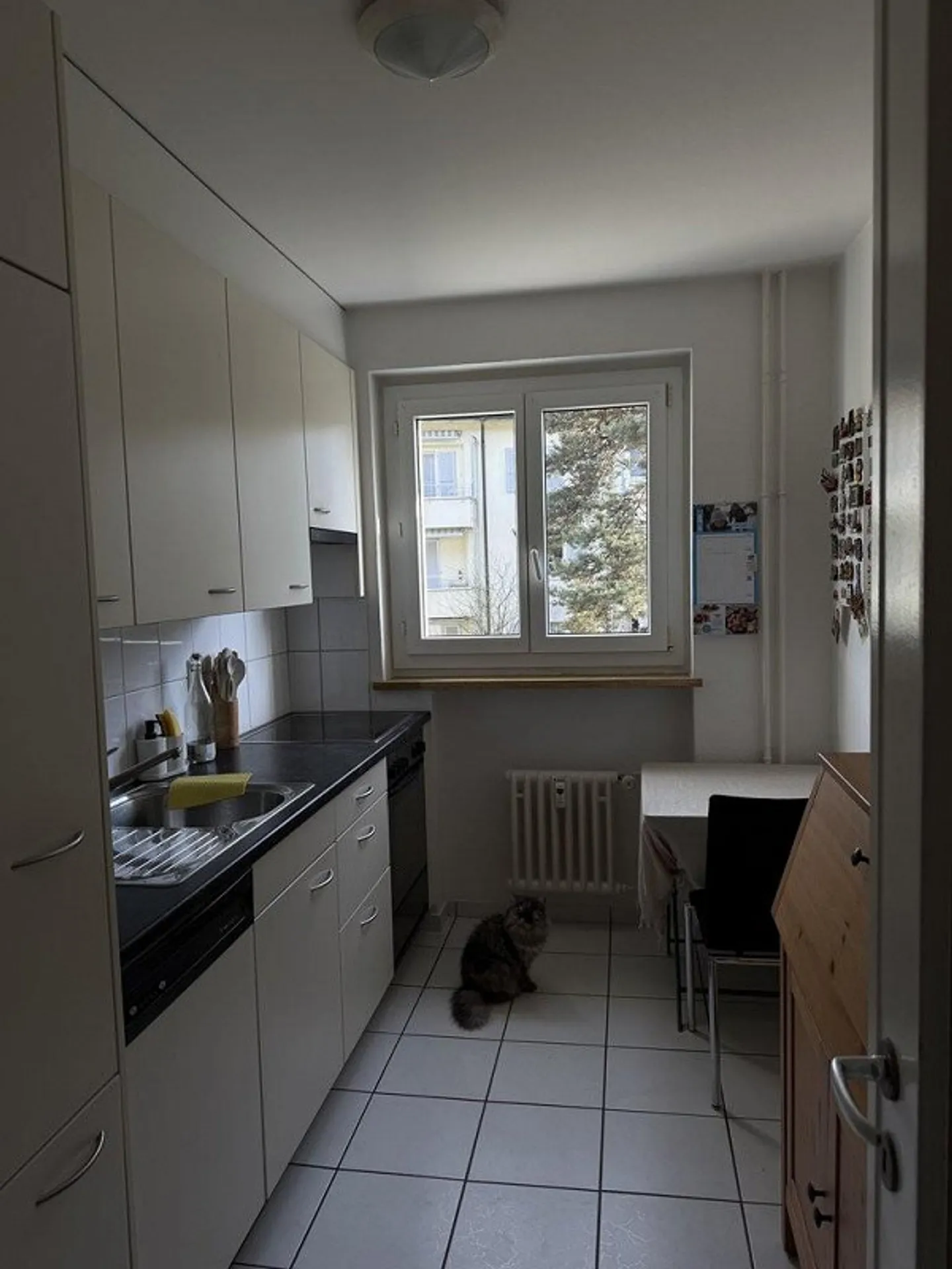 Charmante 3-Zimmer-Wohnung zu vermieten! - Foto 3 von 6