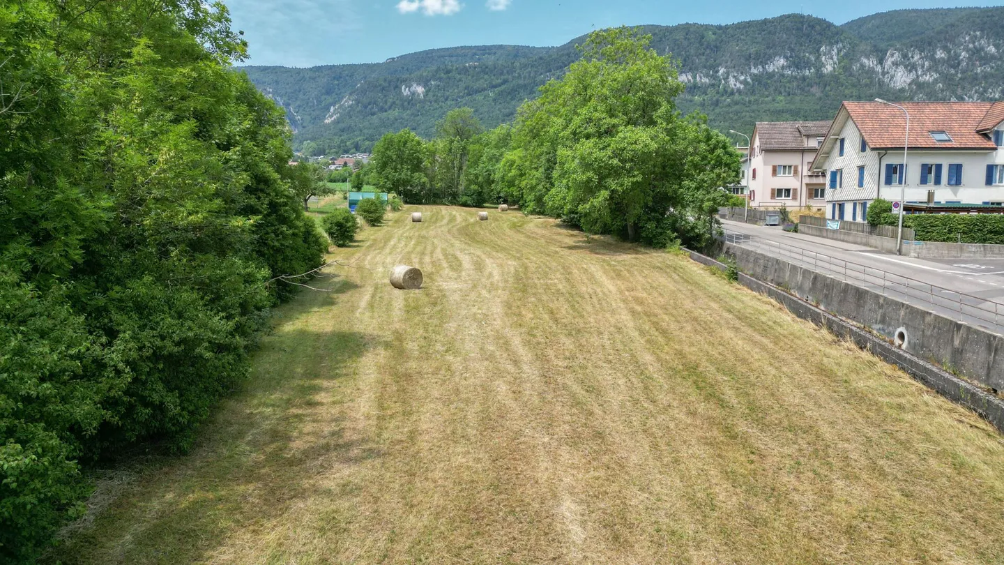 1,691 m² Land Parcel in Langendorf - Photo 6 of 8