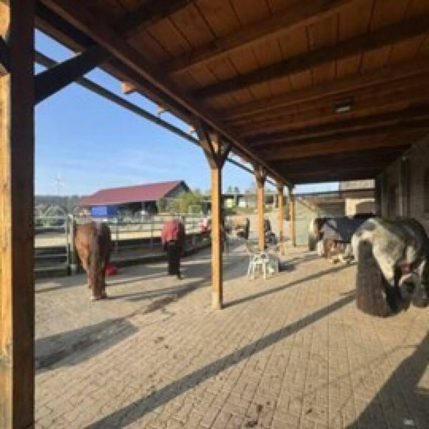Reitsportimmobilie mit Wohnung/Einzelzimmer und Reitalle - Photo 3 of 6
