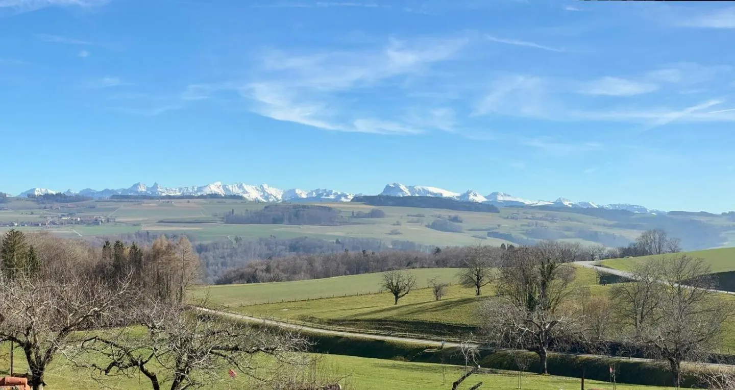 7-Zimmer-Haus - Foto 17 von 17