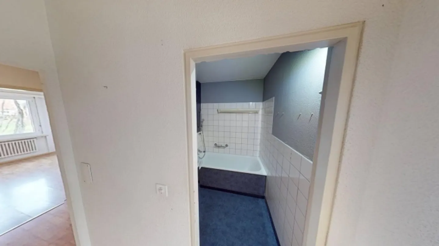 Ampio appartamento con 4 stanze vicino alla città di Basilea disponibile fino al 30 aprile 2026 - Foto 10 di 11