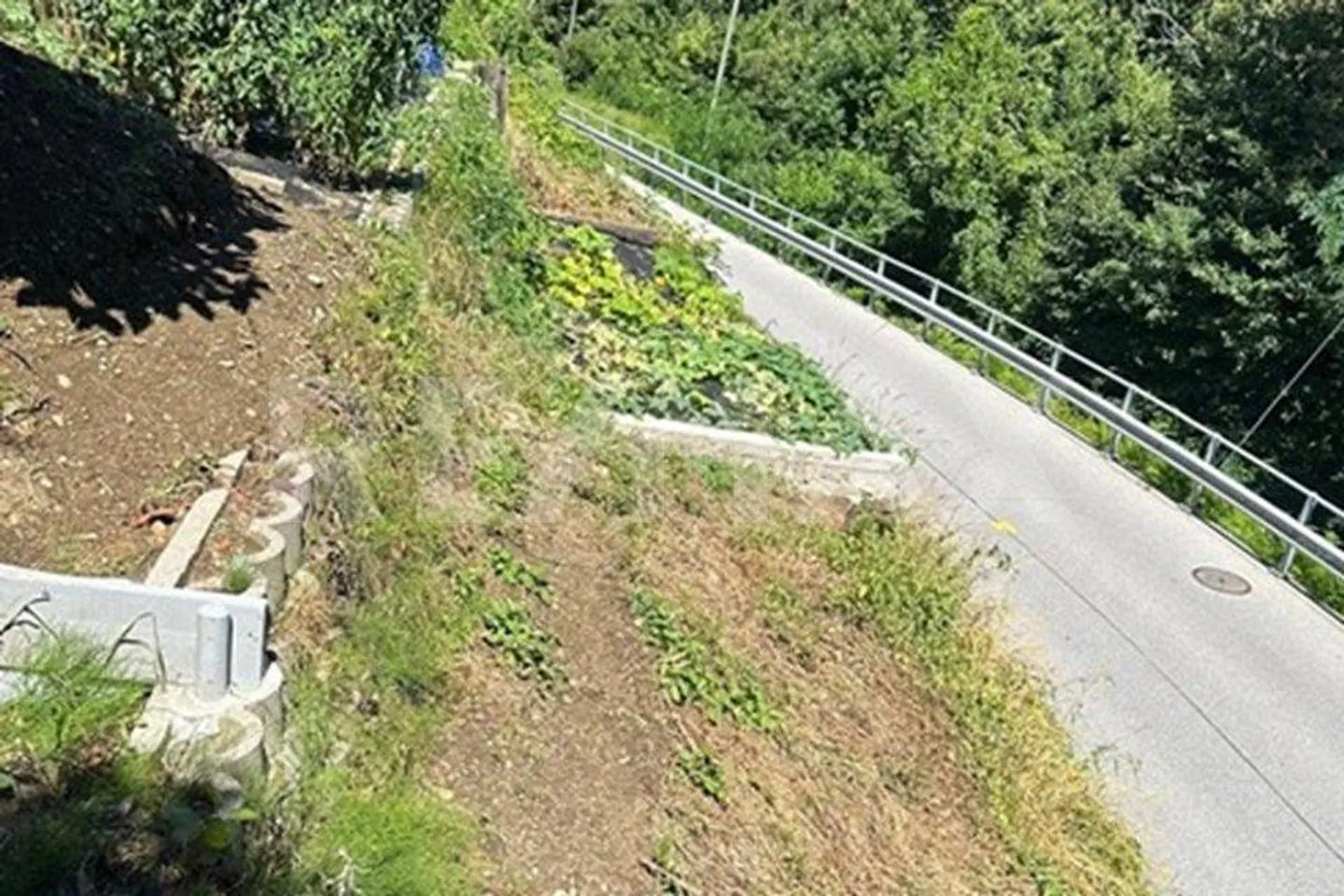 Building Plot - Photo 9 of 10