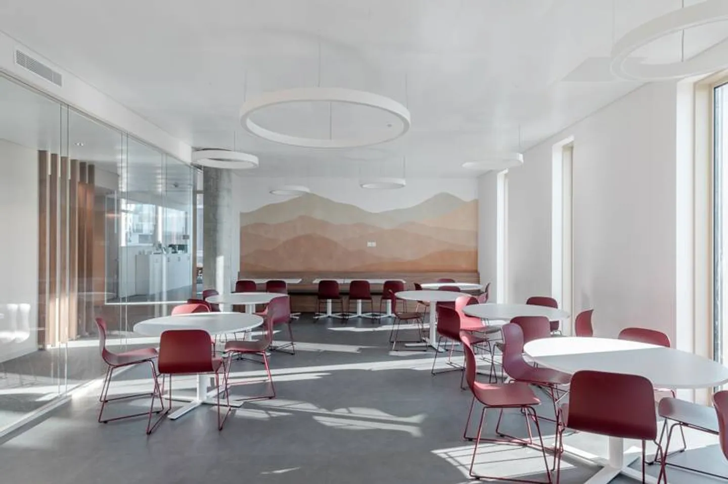 Magnifiques bureaux divisibles dans un quartier dynamique - Photo 4 sur 13