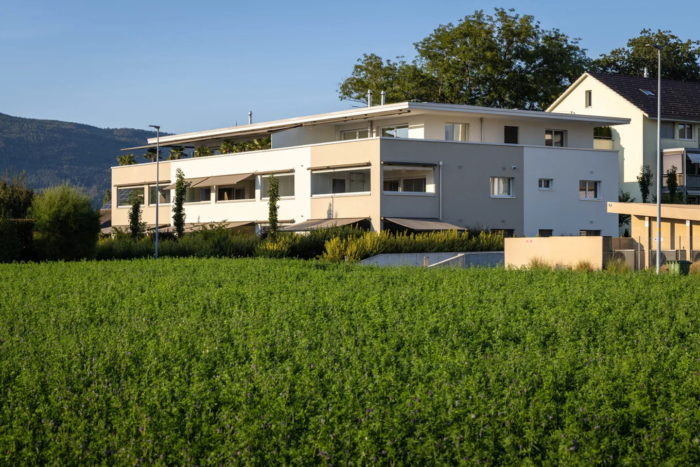 Ruhig gelegene, hochwertige, helle und moderne 4.5 Zimmer Terrassenwohnung im Obergeschoss mit 30 m² Wintergarten mit Weitsicht gegen Westen (Abendsonne), 2 Parkplätze inkl. und Gemeinschaftsgartengarten mit rundum Sichtschutz und Solitärbäumen - Foto 75 von 108