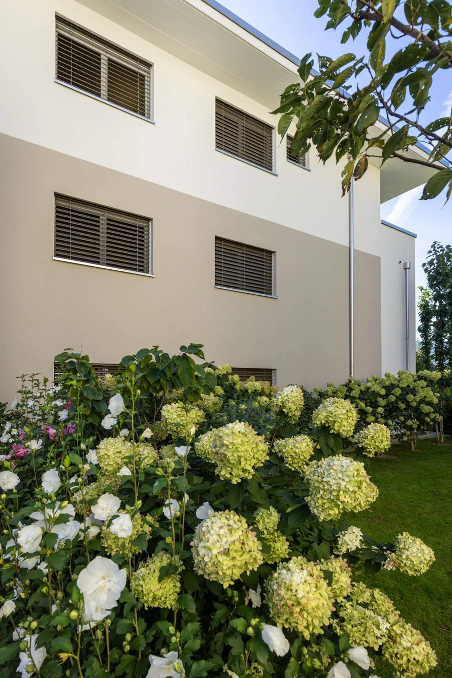 Ruhig gelegene, hochwertige, helle und moderne 4.5 Zimmer Terrassenwohnung im Obergeschoss mit 30 m² Wintergarten mit Weitsicht gegen Westen (Abendsonne), 2 Parkplätze inkl. und Gemeinschaftsgartengarten mit rundum Sichtschutz und Solitärbäumen - Foto 106 von 108