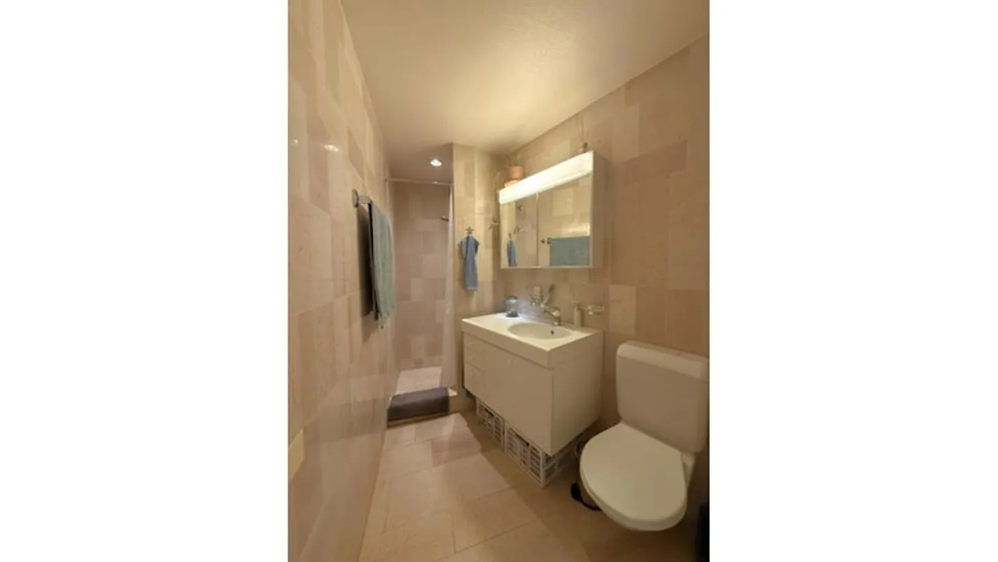 APPARTAMENTO 4½ STANZE A THUN (BE), ARREDATO, TEMPORANEO - Foto 9 di 10