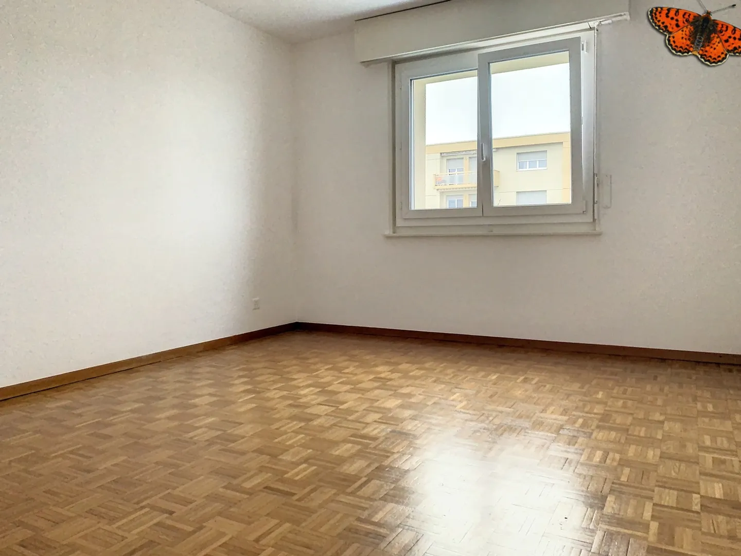 2½ Rooms - Close to all Amenities! - Photo 5 of 7