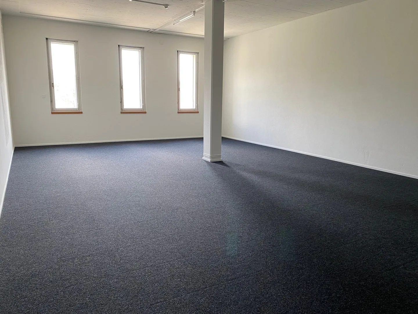 Gewerbefläche in Peseux - Foto 5 von 6