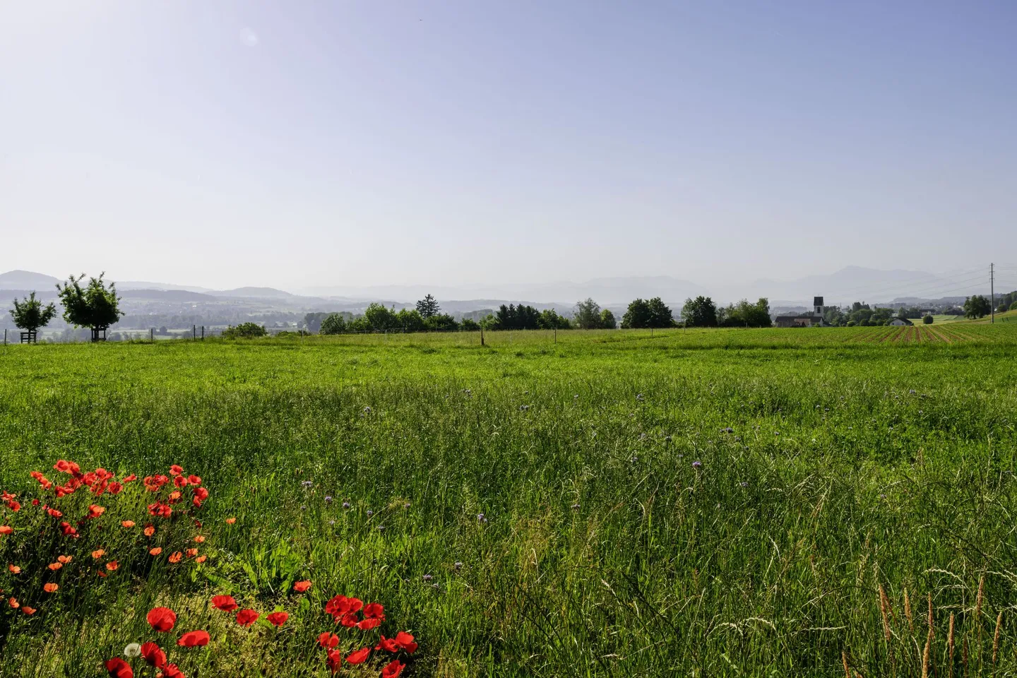 Baugrundstück mit Alpenblick - Foto 1 von 9