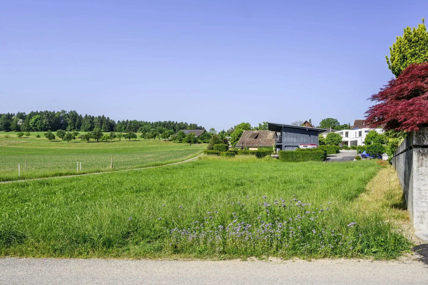 Baugrundstück mit Alpenblick - Foto 7 von 9