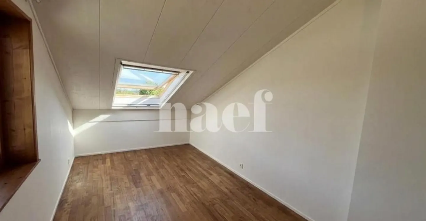Appartamento triplex con giardino - Foto 7 di 10