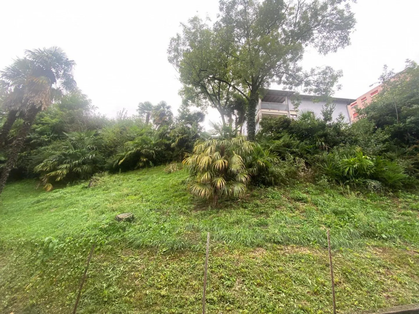Terreno edificabile di 1050 m2 in zona di 5 piani - Foto 1 di 21