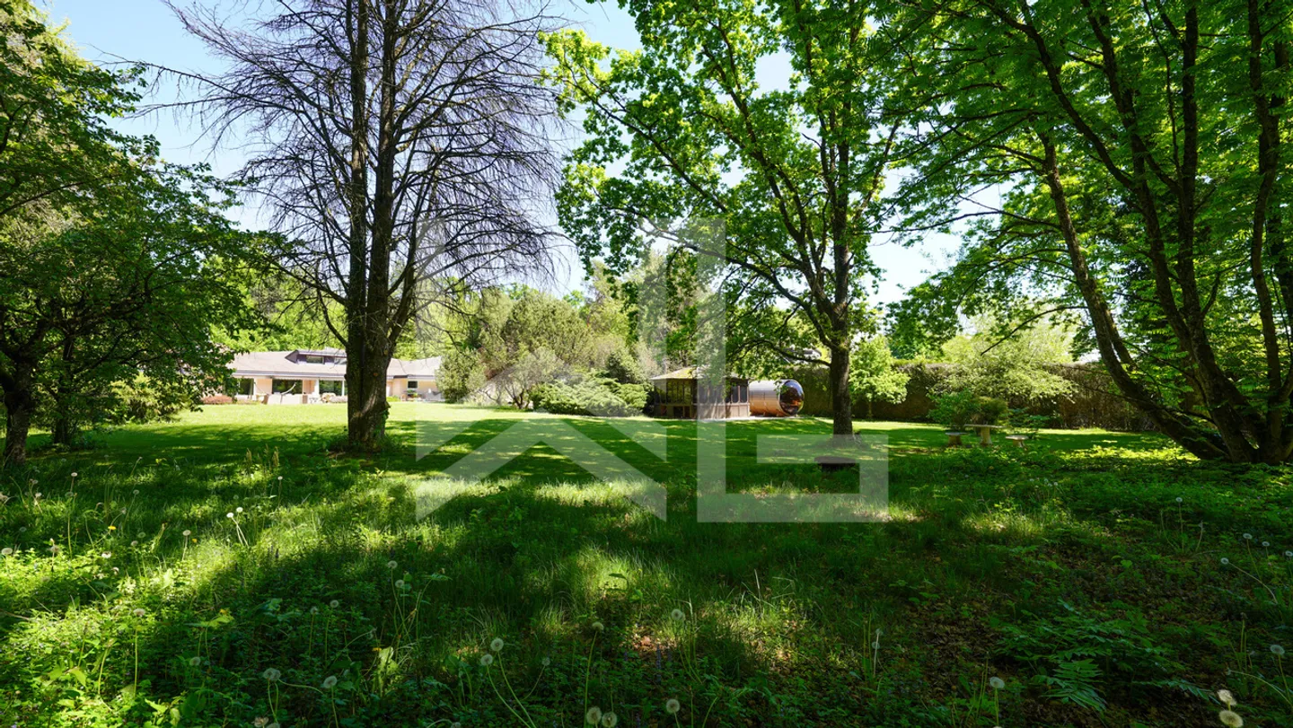 Proprietà con otto camere nel cuore di un parco alberato di 9.000 m2 - Foto 4 di 15