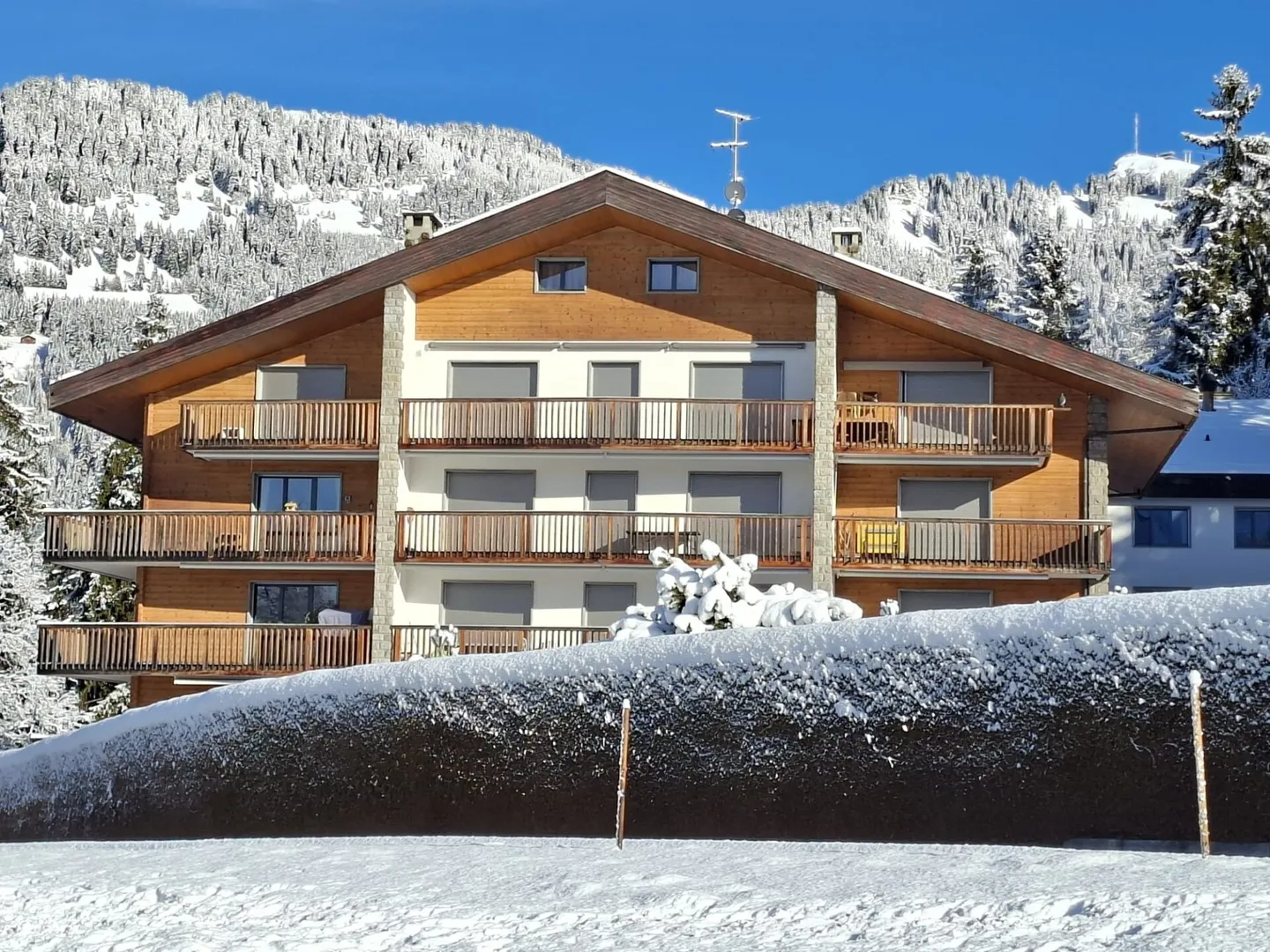 GOLF B11 - STUDIO ZU VERMIETEN DAS GANZE JAHR - Foto 1 von 8