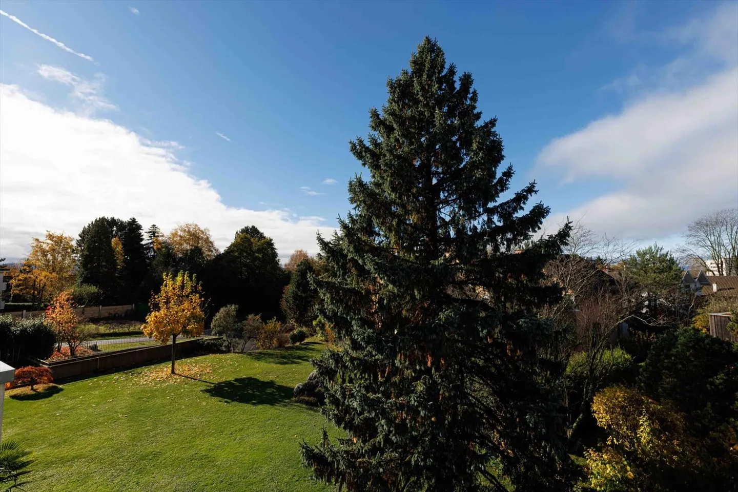 LAUSANNE – Bellissimo appartamento di 3,5 stanze in una zona tranquilla - Foto 2 di 13