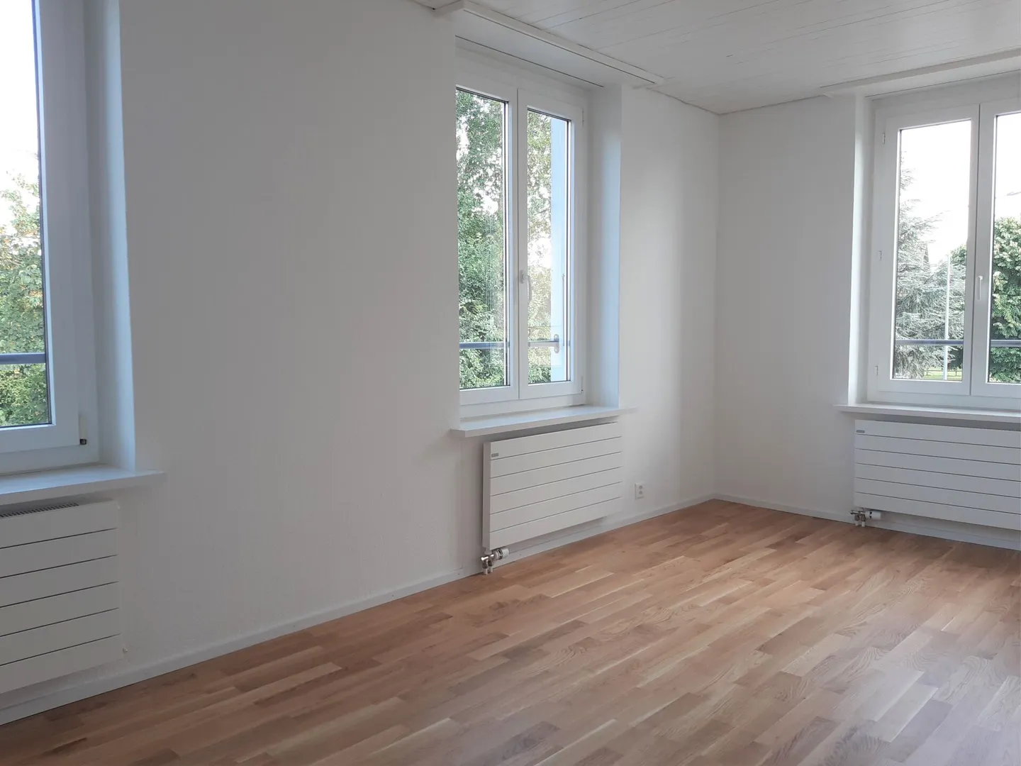 Modern 3.5 Room Apartment with Dressing Room - Photo 5 of 8