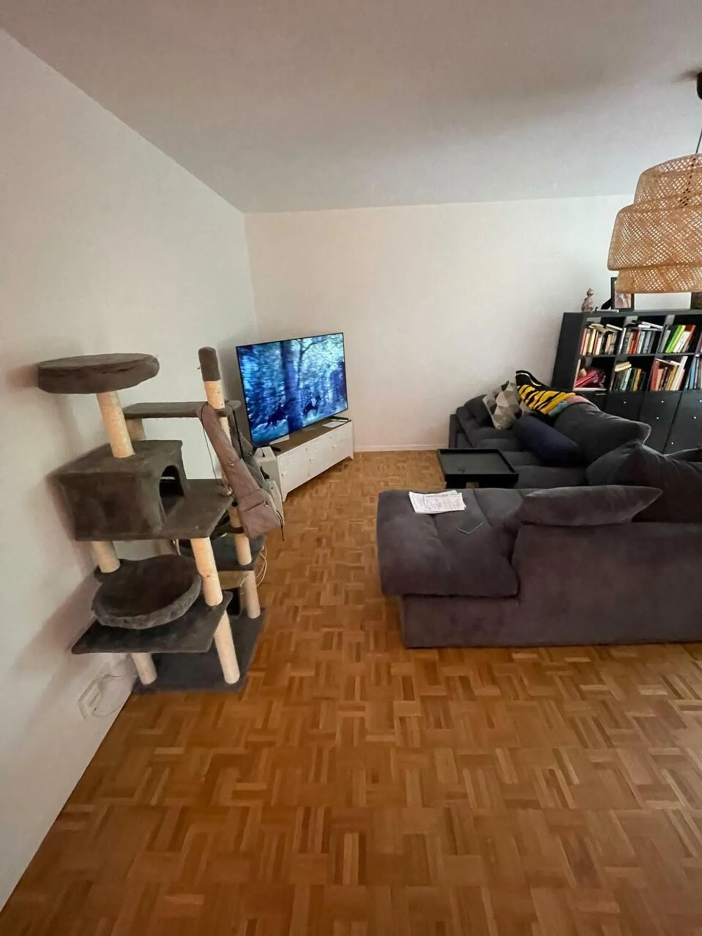 Charmante 2.5-Zimmer-Wohnung - Foto 7 von 10