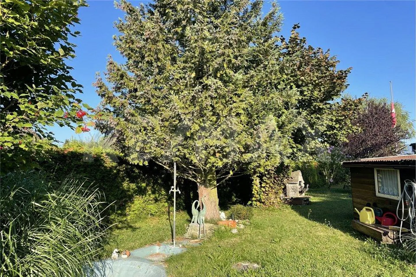 Terrain constructible à vendre - Photo 3 sur 11