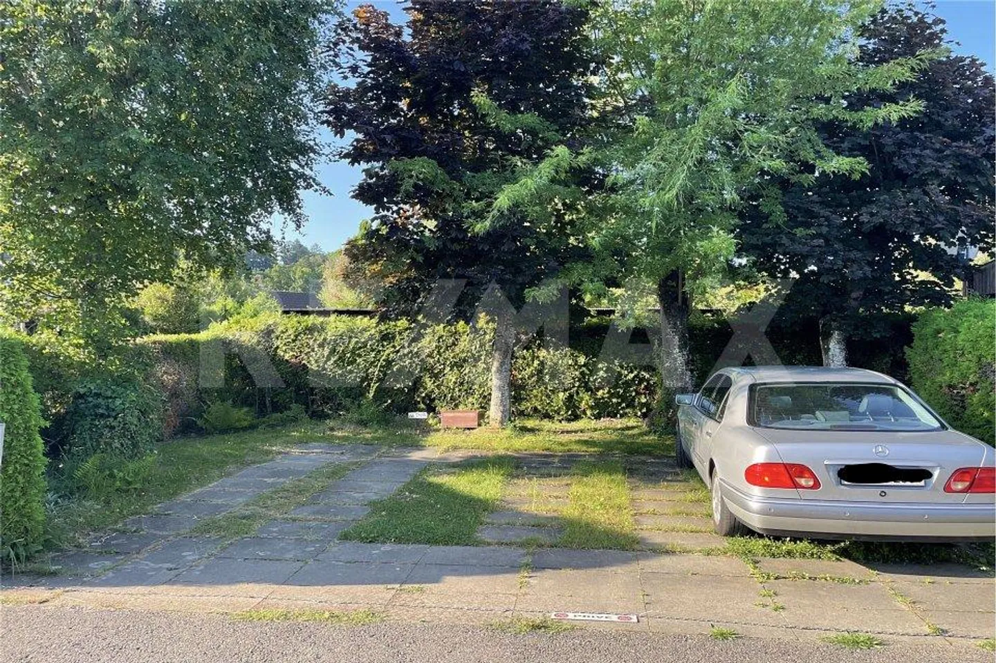 Farm for sale - Photo 4 of 13