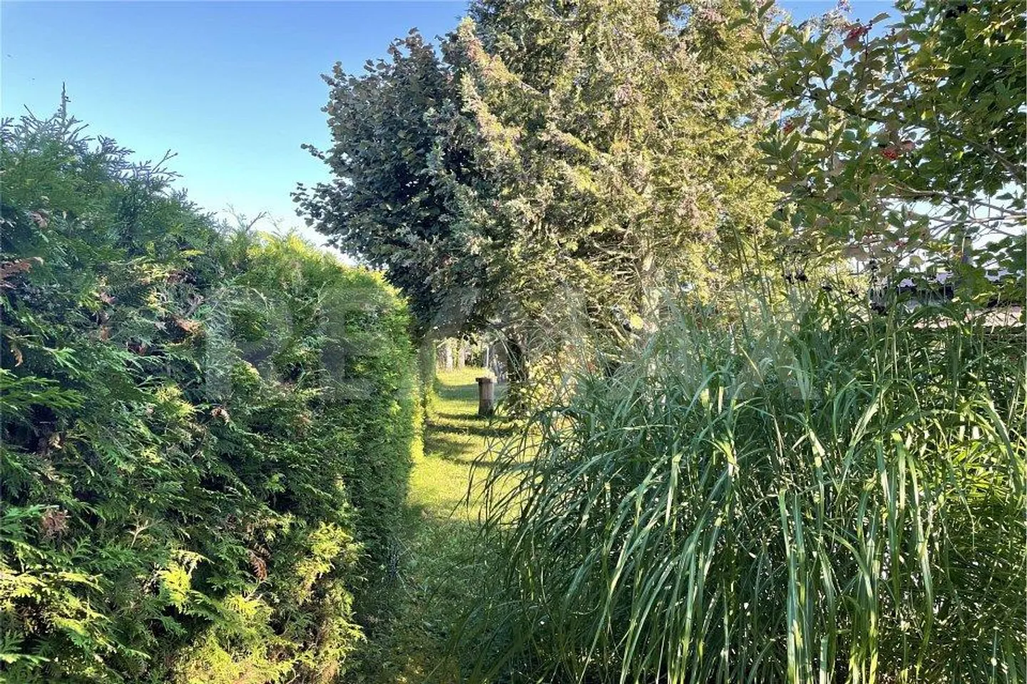 Farm for sale - Photo 5 of 13