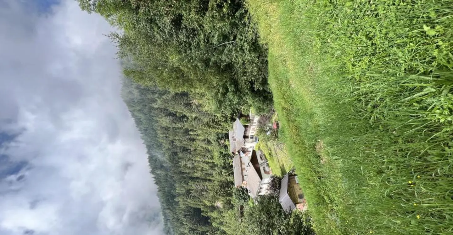 Grundstück zu verkaufen in Ovronnaz - Foto 6 von 7