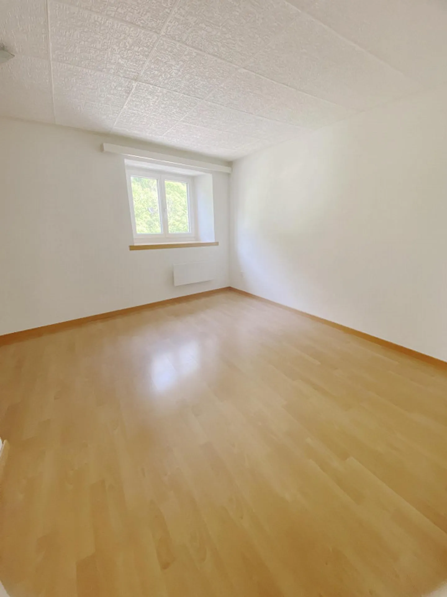 Appartamento luminoso e tranquillo con 3 stanze al confine della foresta – Autobus in 3 minuti, parcheggio - Foto 13 di 13